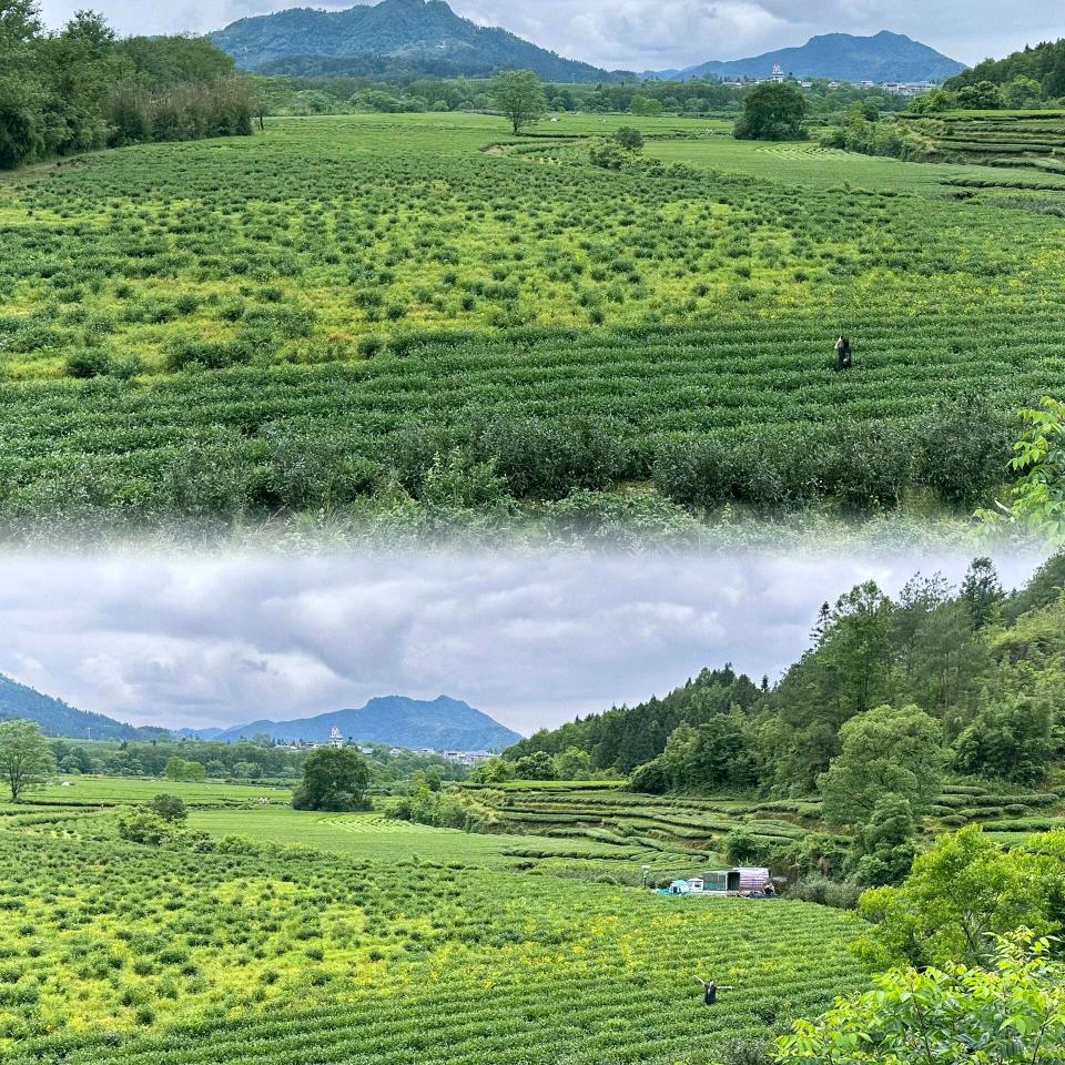 快乐(✪▽✪)每一天