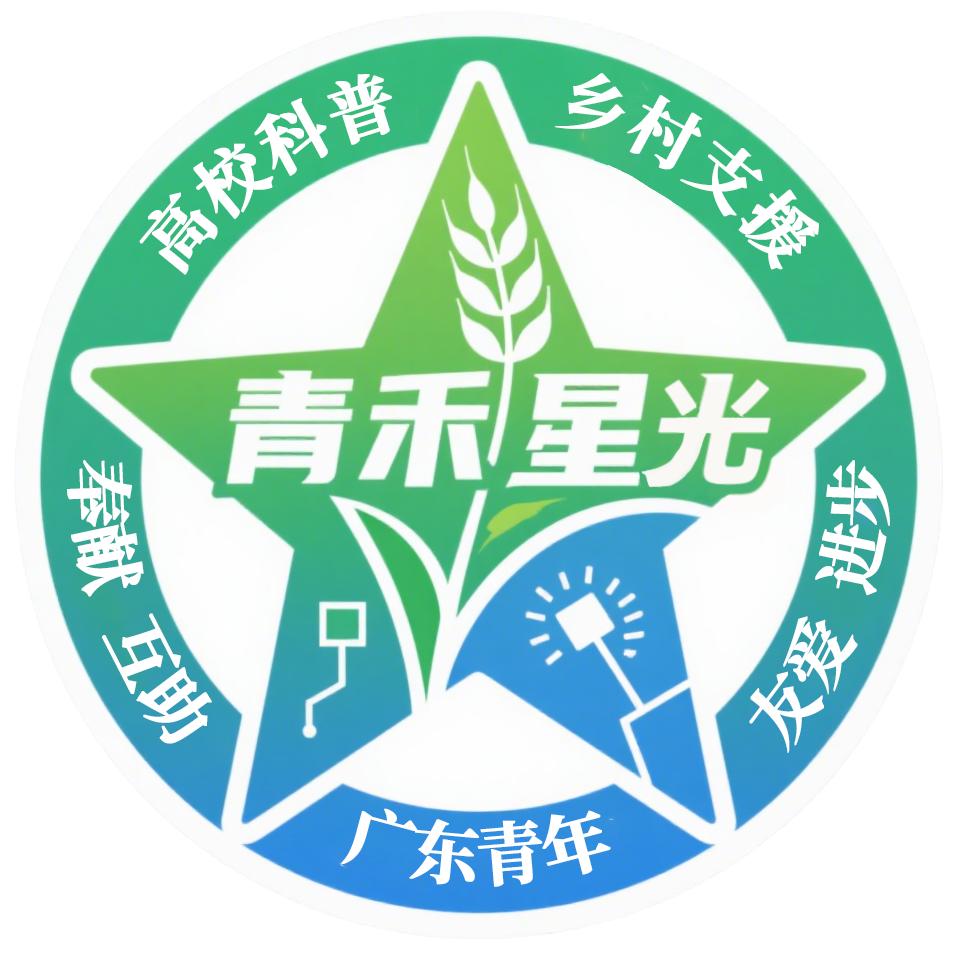 广东东软学院青禾星光突击队