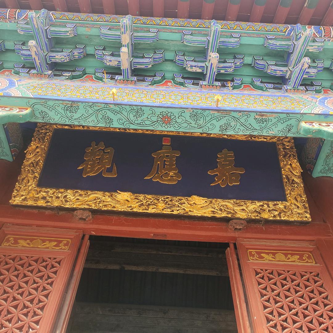 奔跑的蜗牛