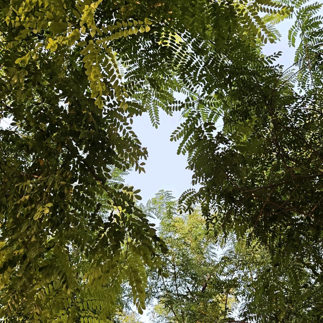 何以解忧，唯有暴富