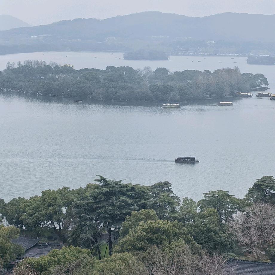 一生所爱