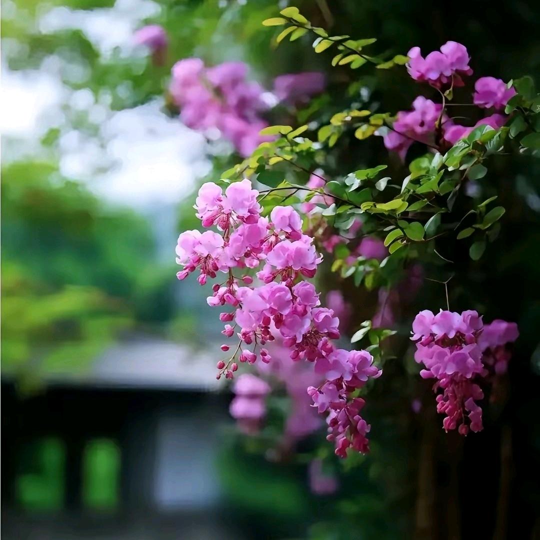 ˶⍤⃝˶꒳ᵒ꒳ᵎᵎᵎ