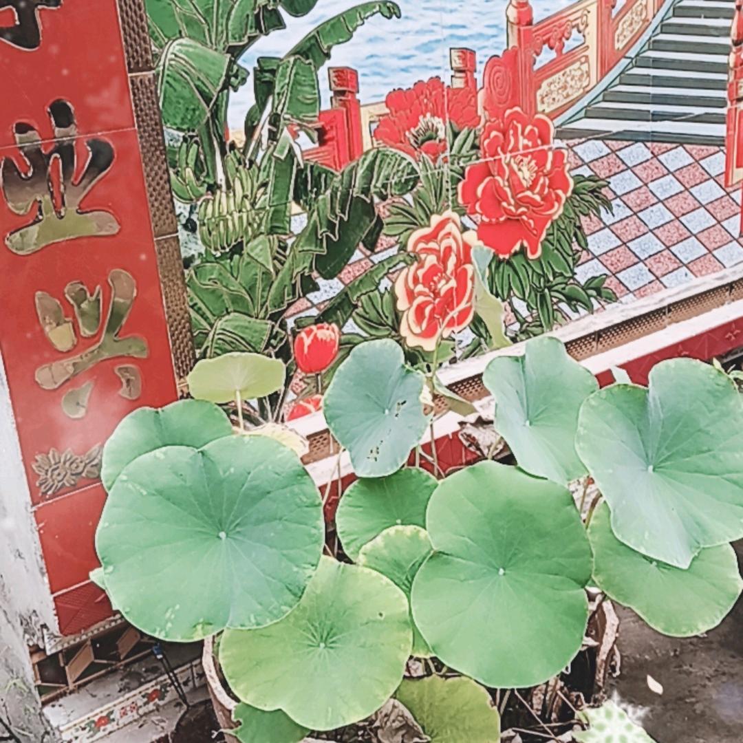 春艳
