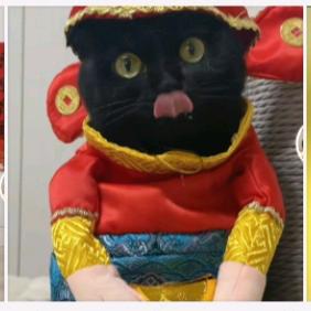 敖丙比不过哪吒，已8岁