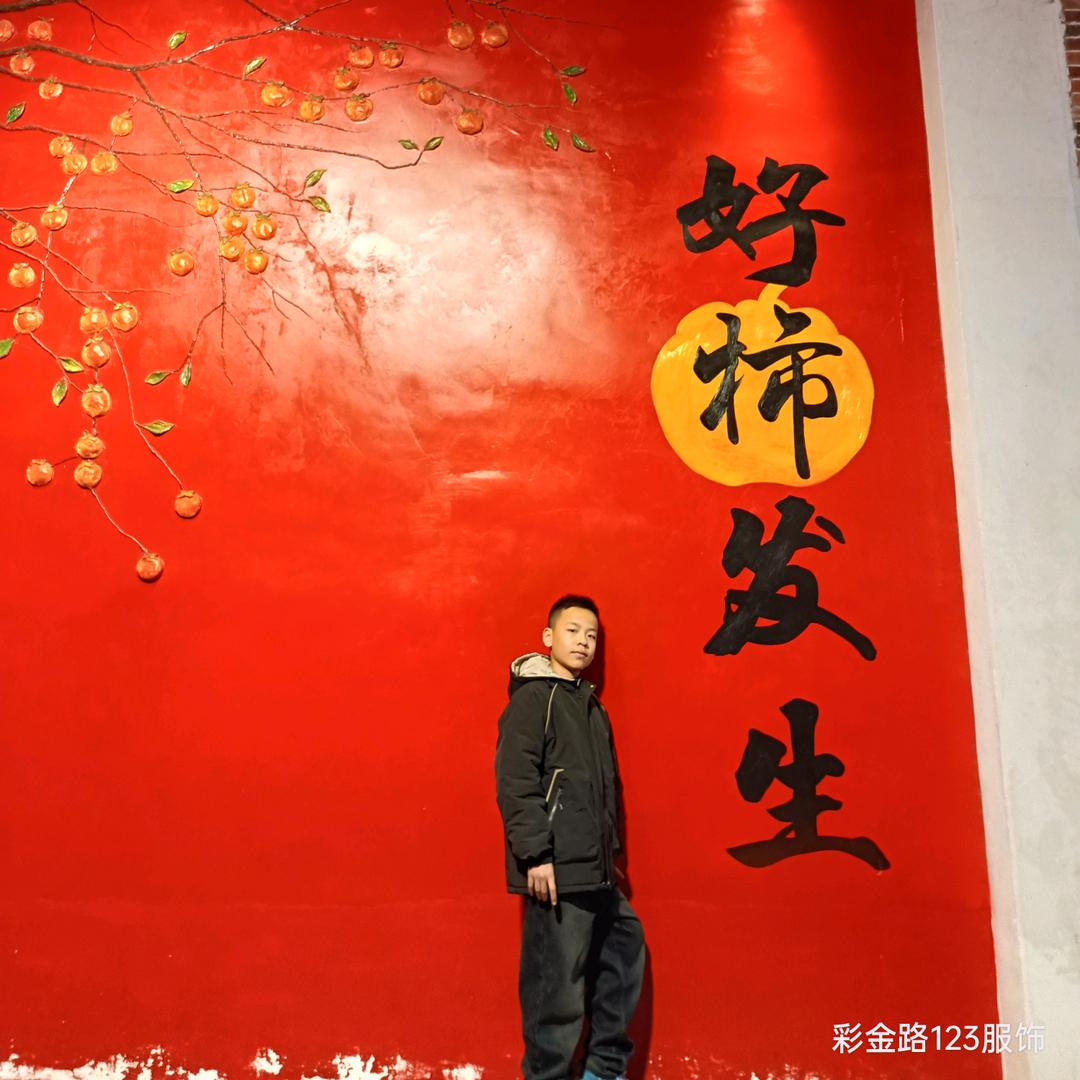 给喵一个家