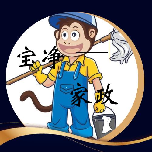 彩云之南宝净