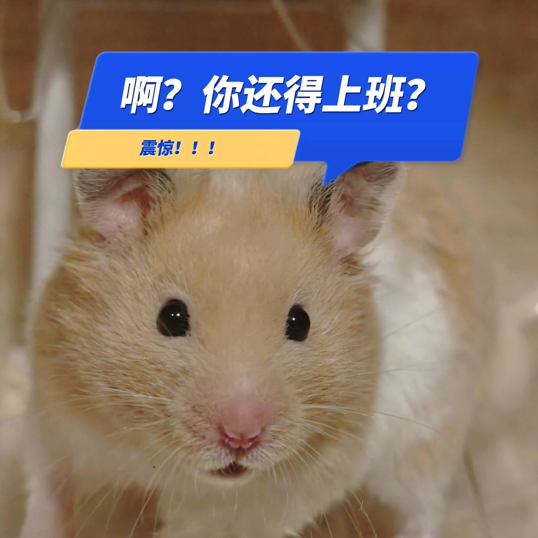 黄大师傅卖艺讨生活