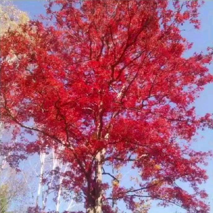 ⛰️山峰伴我行⛰️