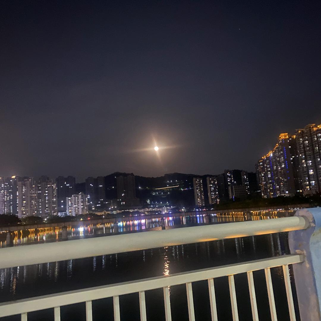 闽C  专员（寻客版）