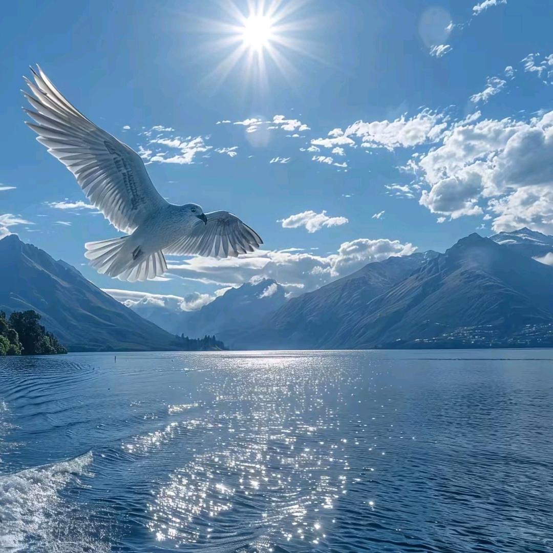 ￴ ￴ ￴ ￴￴ ￴