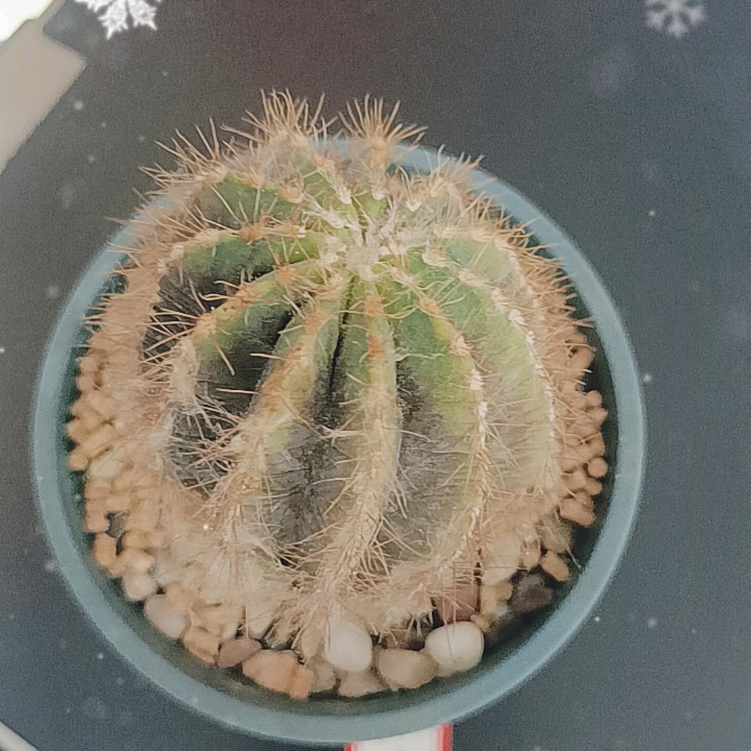 ？？