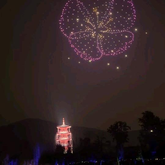 淑秋