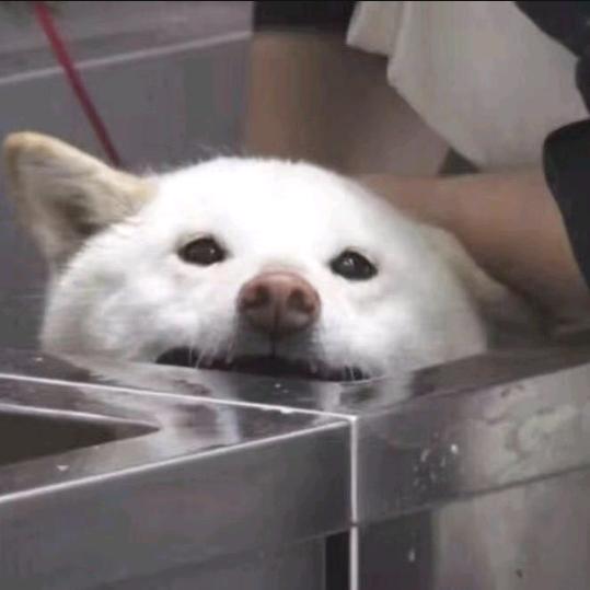 咦y