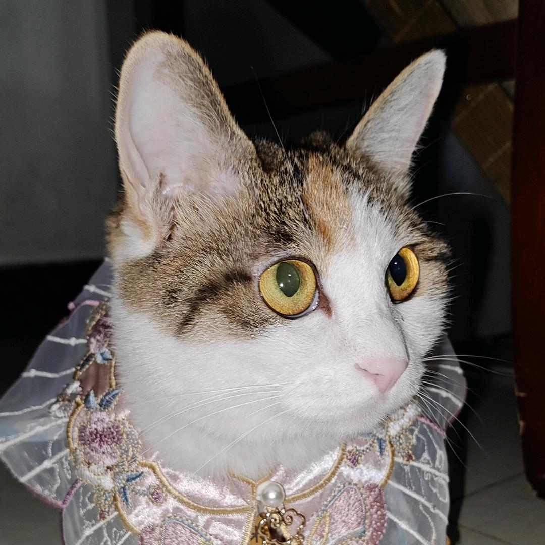 米米女王(平安喜乐)