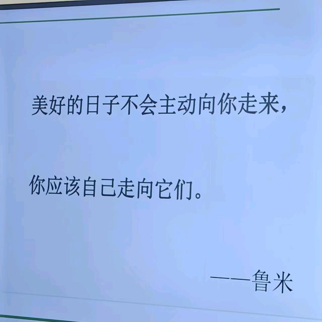 BR＆QL（暴瘦版）头像
