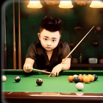 大葱蘸酱（招台球器材代理）