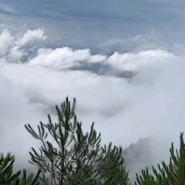 吴幺哥