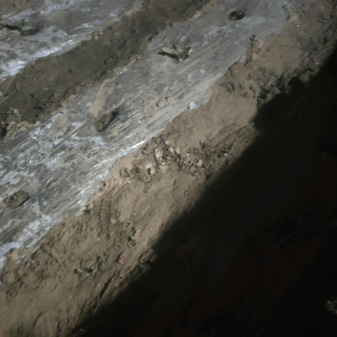 湘鄂商店株洲搭崇商贸客服号