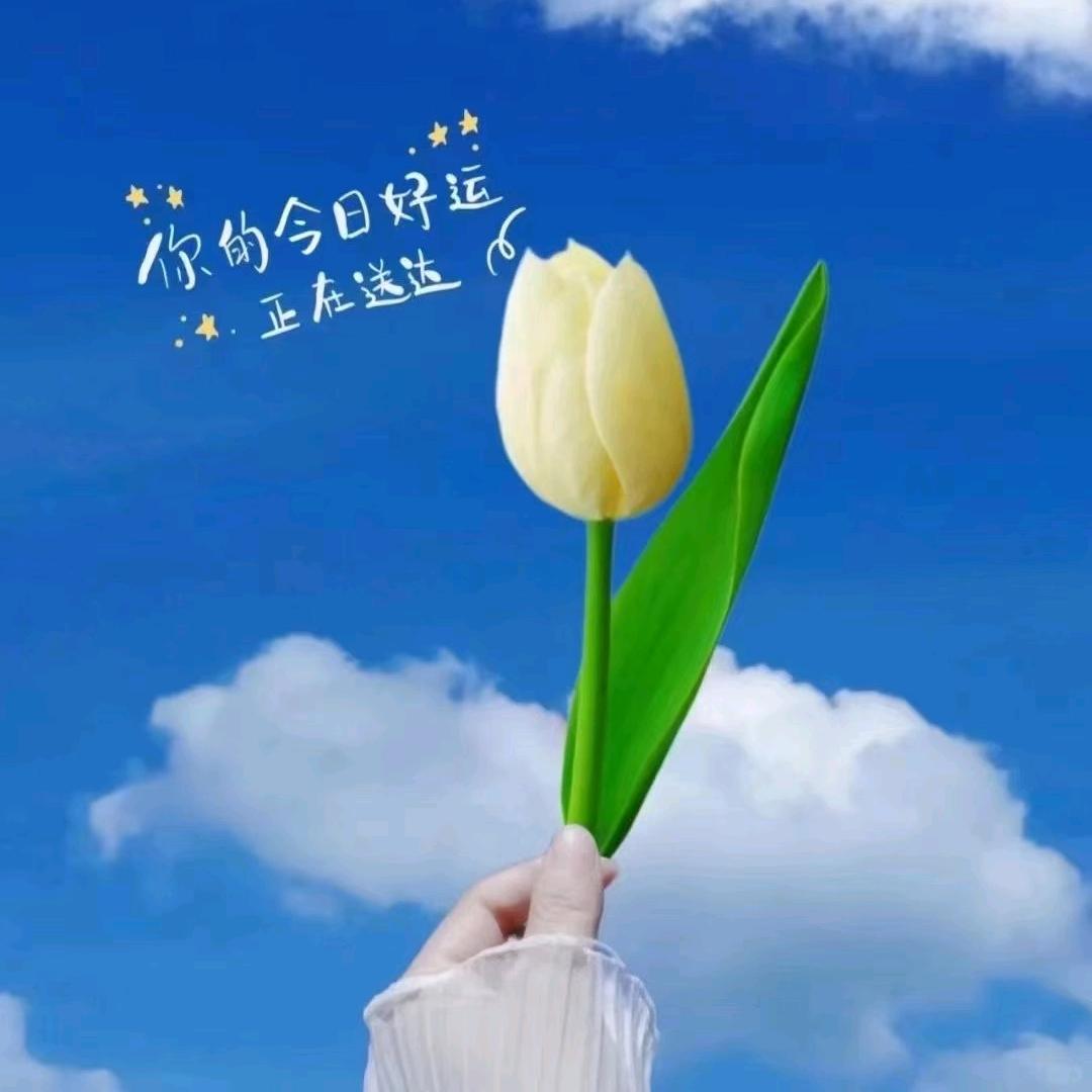 奥格瑞种业