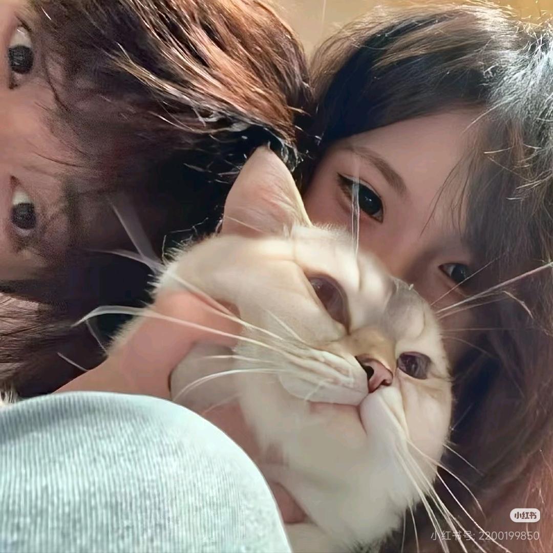 三秒心动
