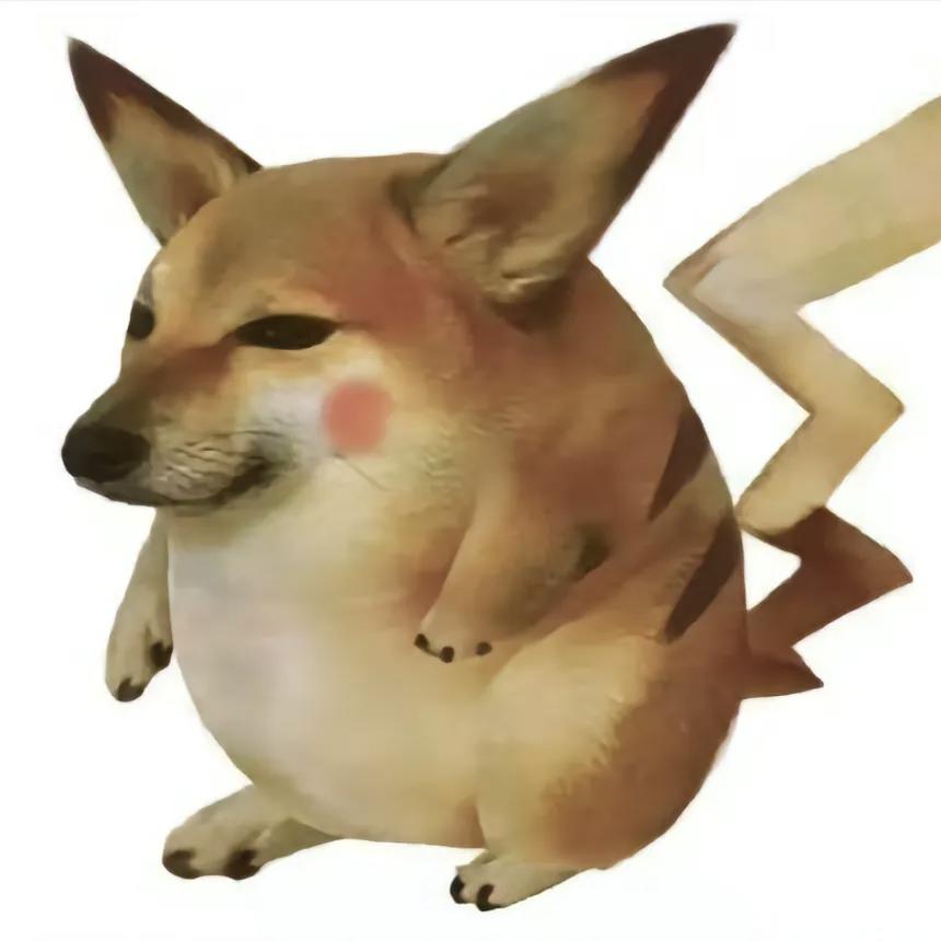 冰&狗狗