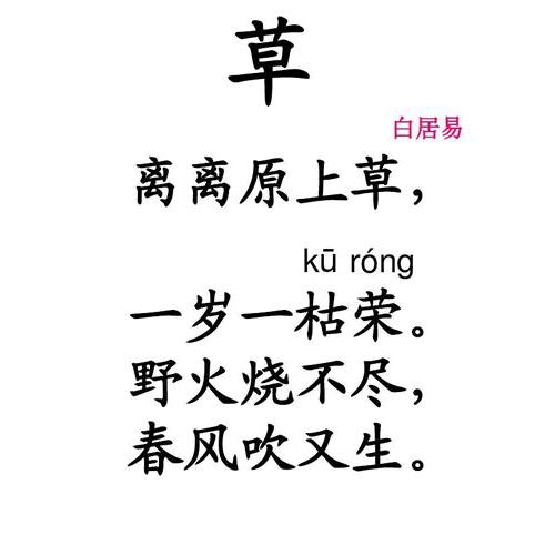 用户章哥3695289963959