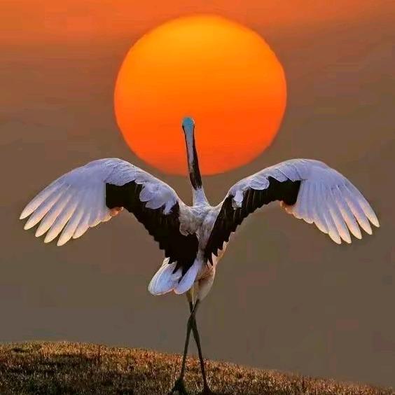 人到无求品自高