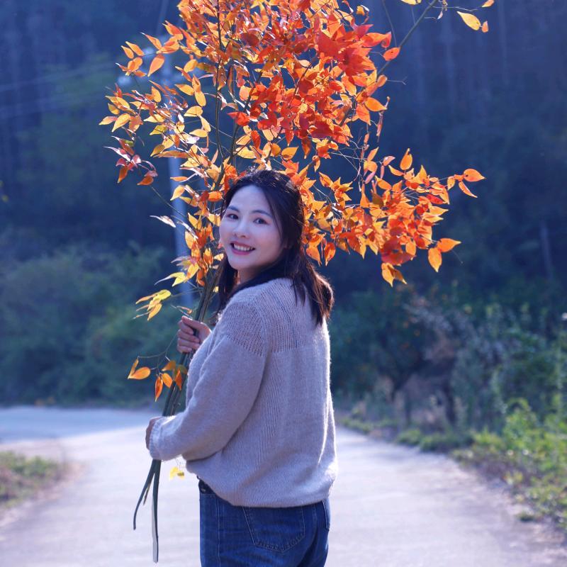 南丰小陳五谷杂粮酥批发零售