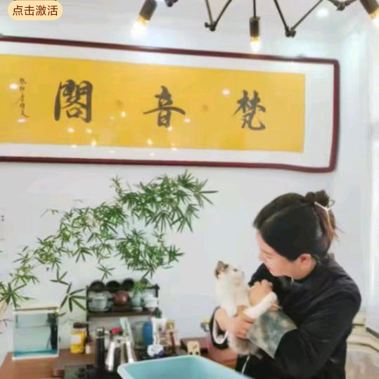 @夏津梵音🙏阁（主号）