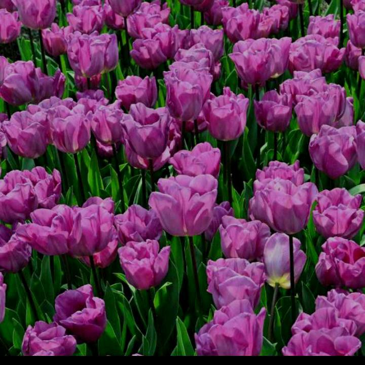 高兴快乐每一天