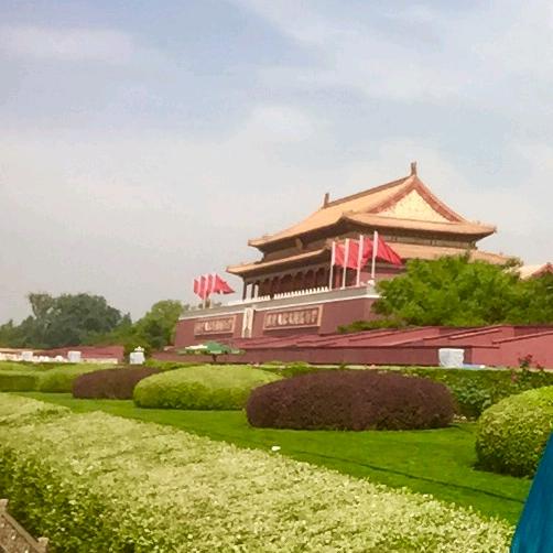 与法同行