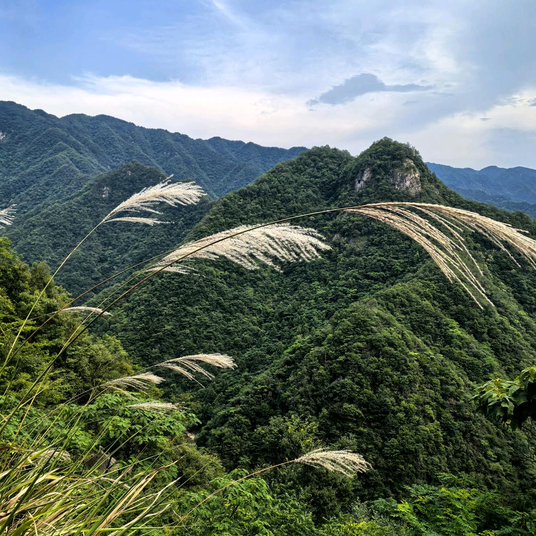 心有灵溪