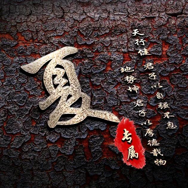 没❤️没 肺，