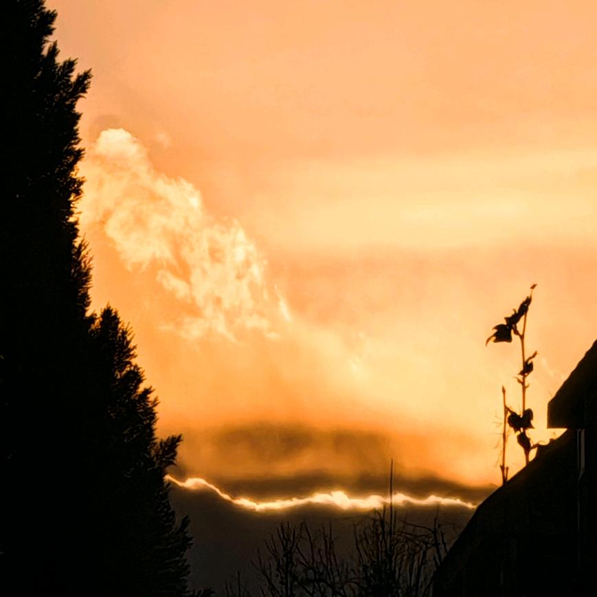 生腌香菜（沸羊羊）