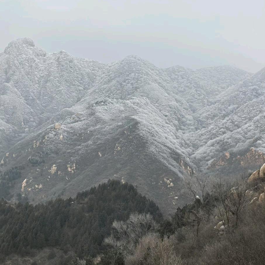 胡山玲子
