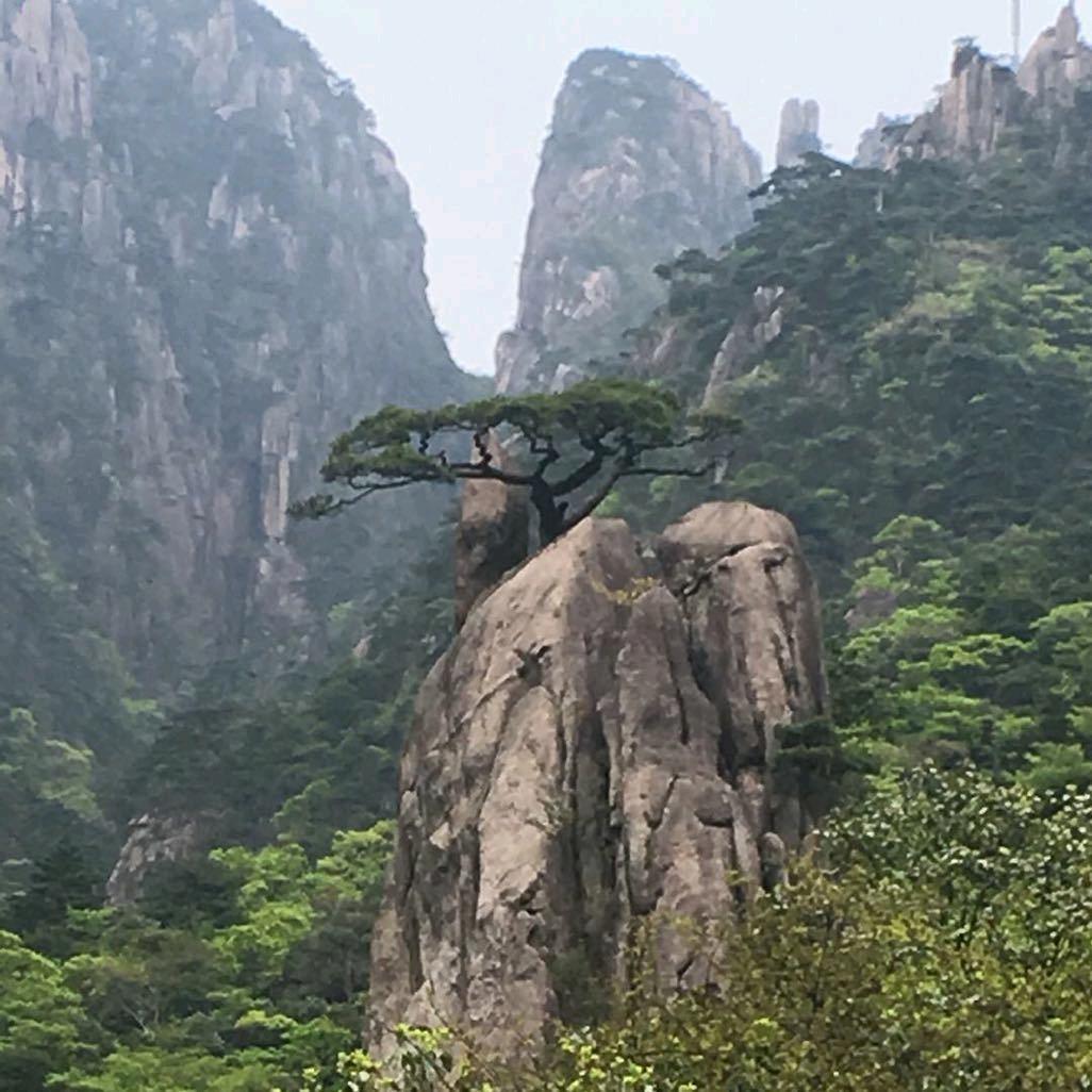 一帆风顺。