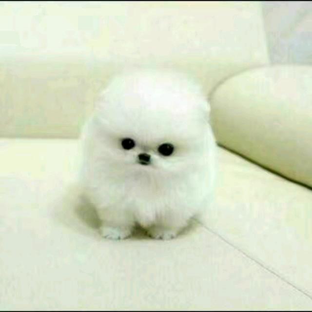 ²⁰²5এ᭄浅笑不语꧔ꦿ᭄