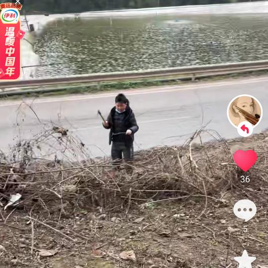 真的我心好累啊