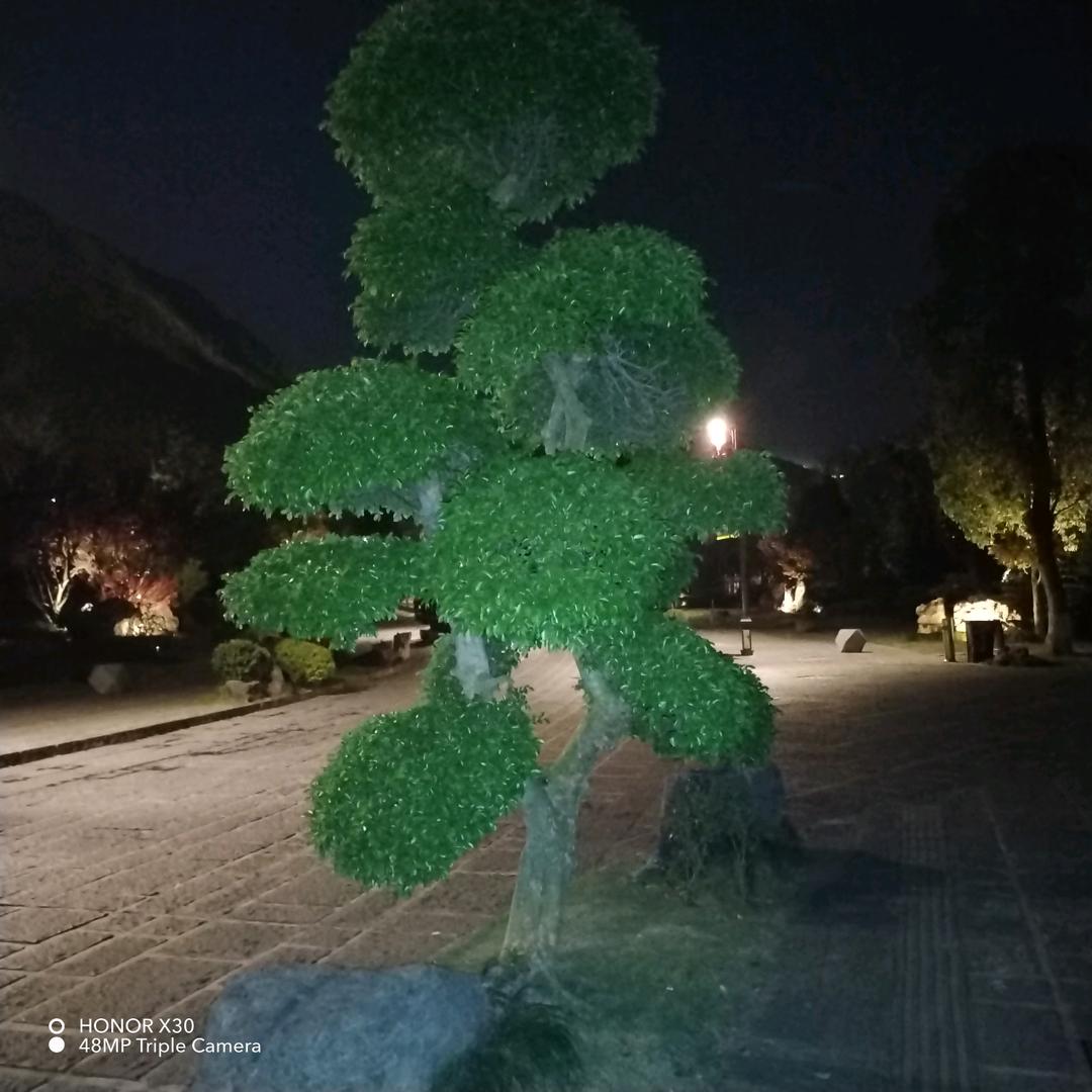 袁德茳