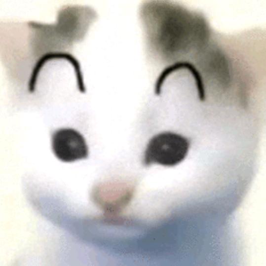 屌丝也想喝茶