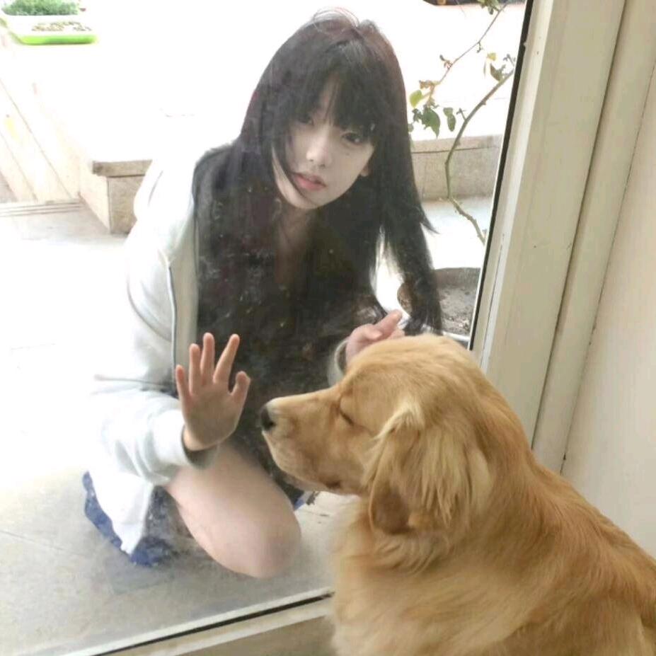 谷栗不吃巧克力