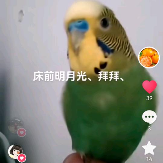 百果园甄选
