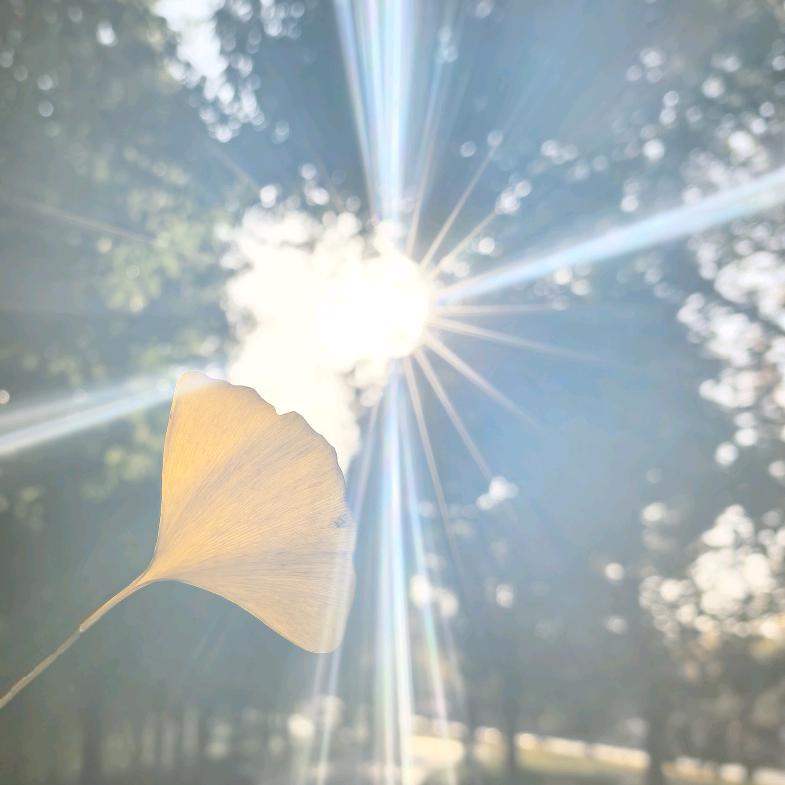 ￴￴ ￴ ￴￴ ￴￴