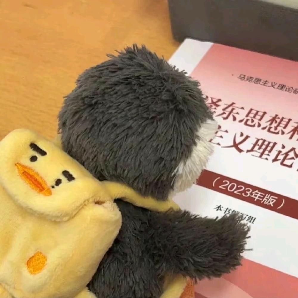 别蹭我果盘