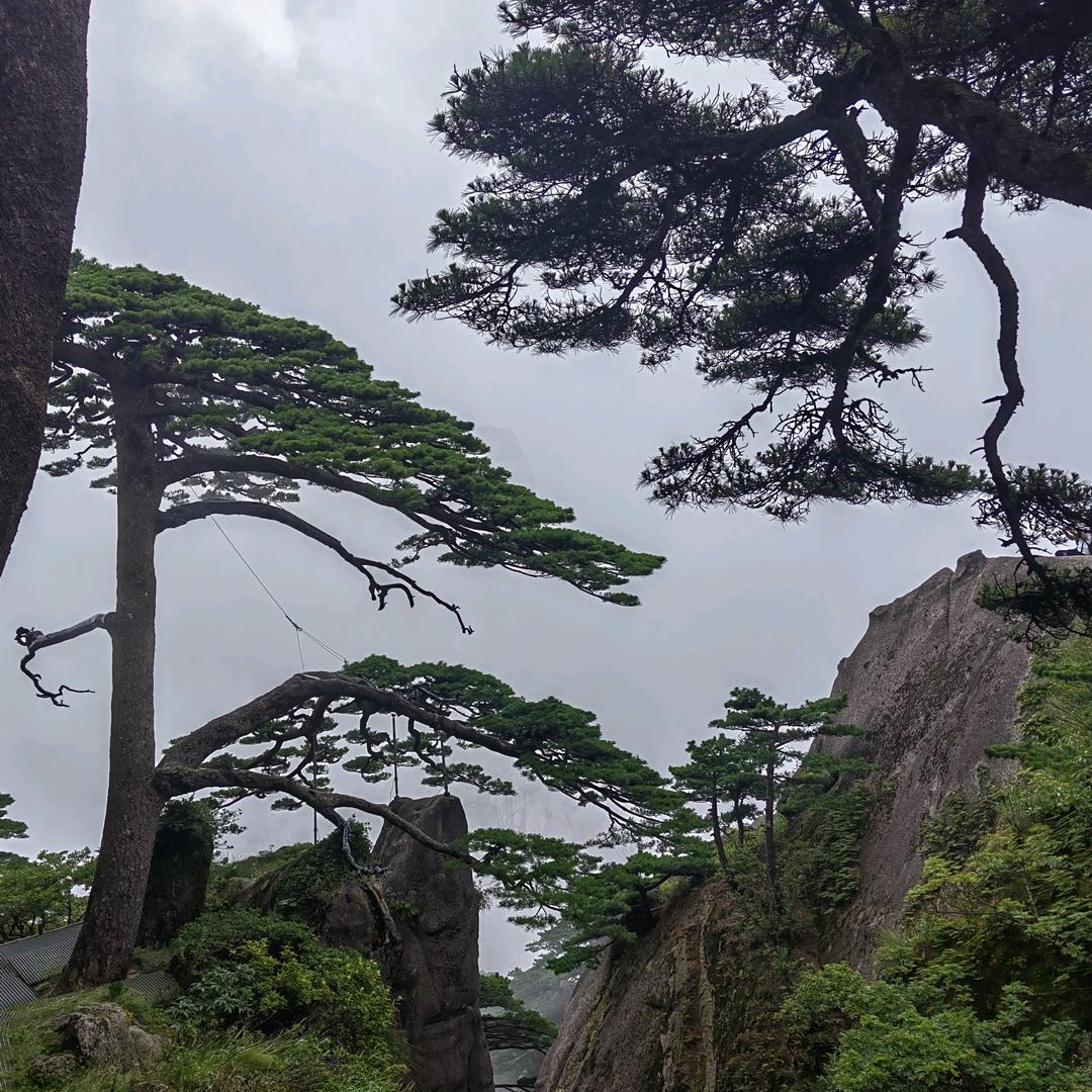 泗洪墙布工厂店（许）