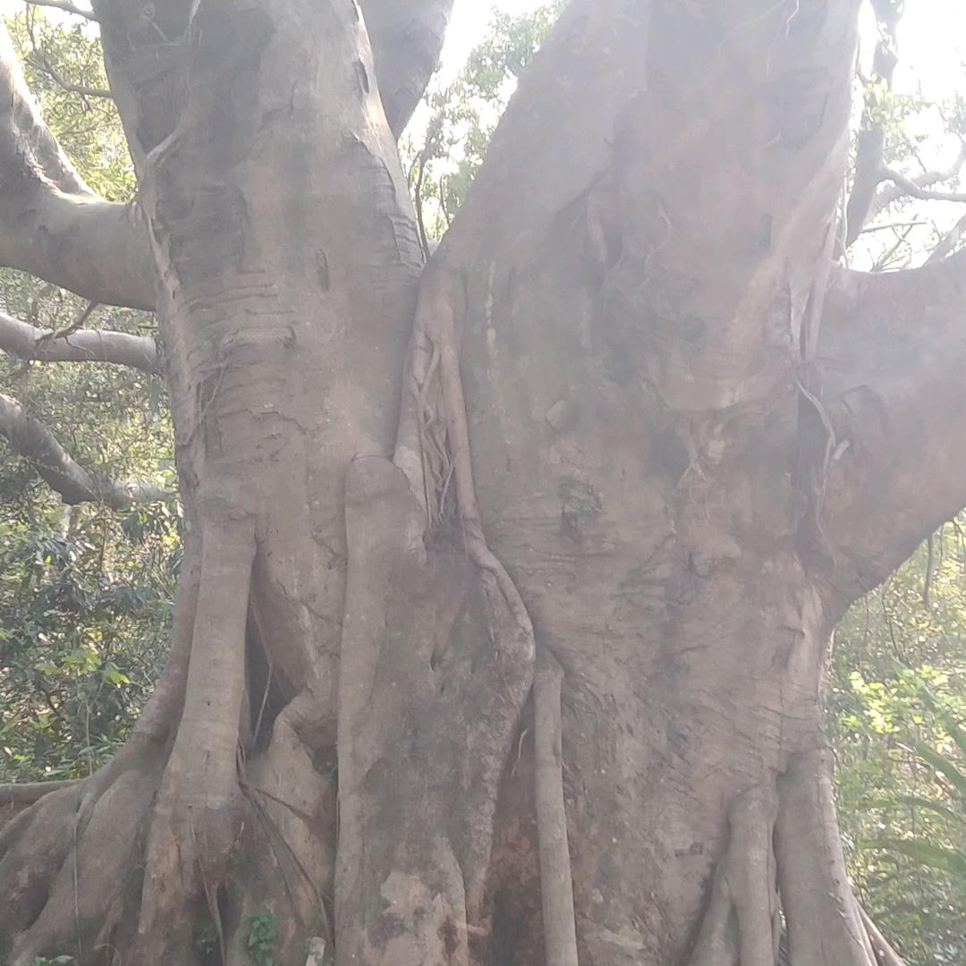 没空听你画大饼