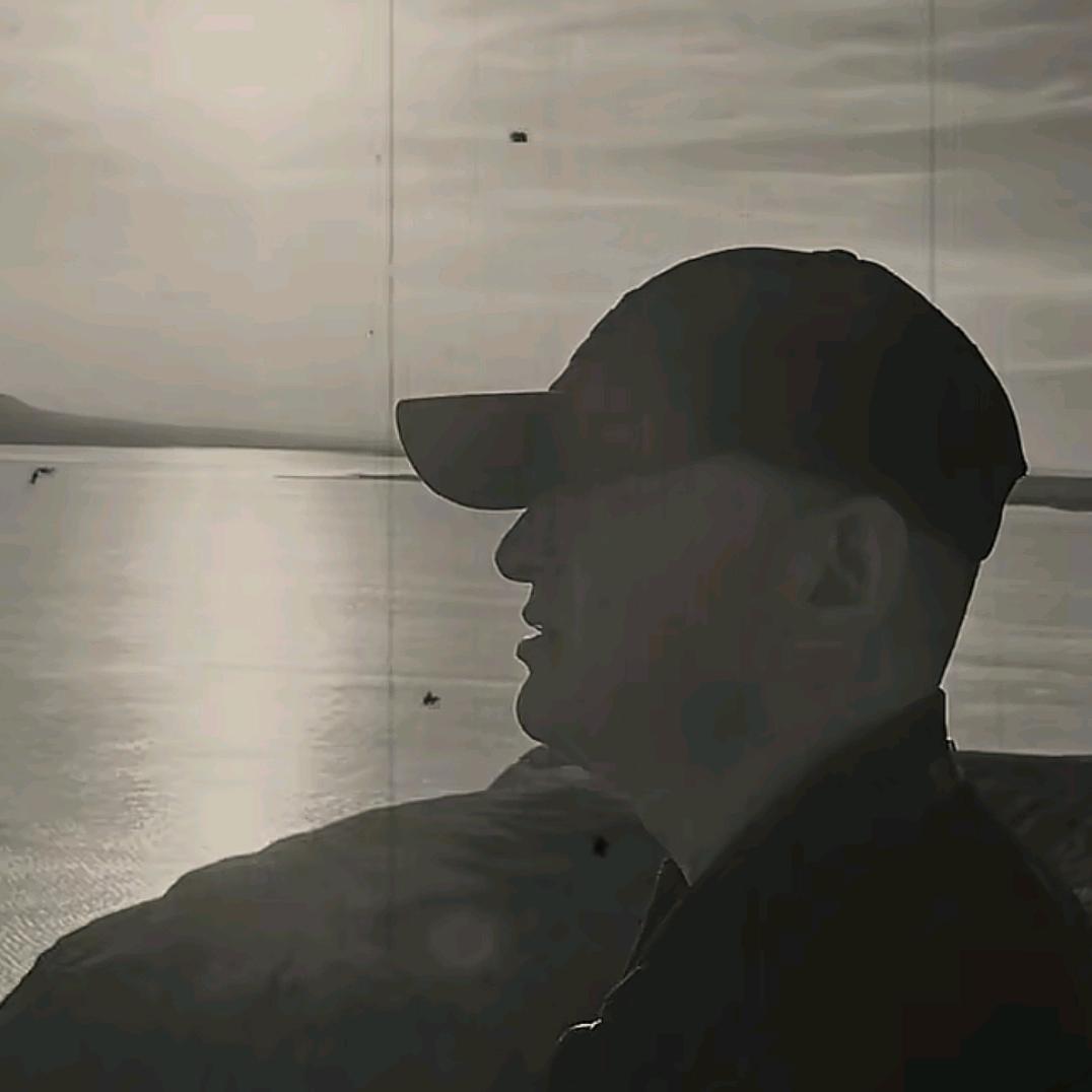 鲨鱼
