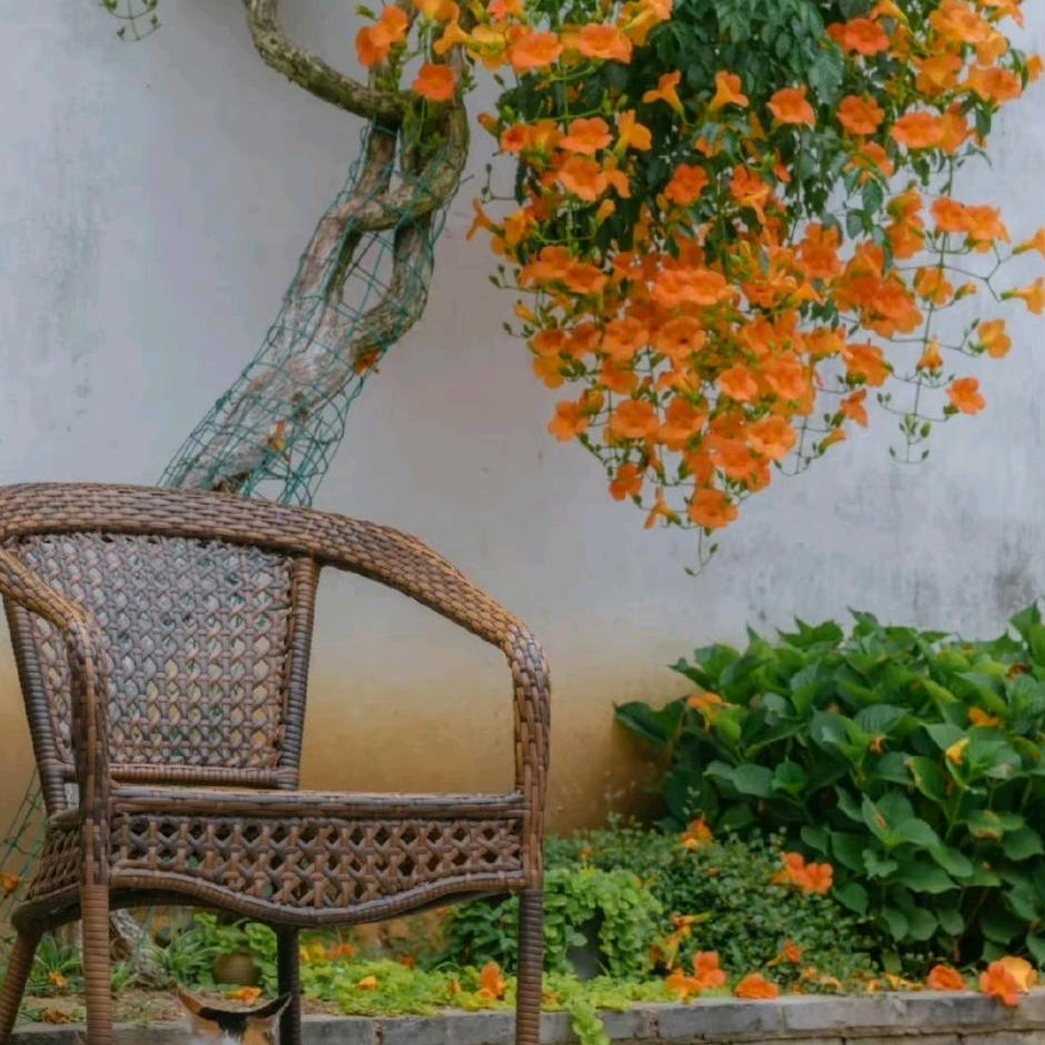 碳水快乐煎饼铺