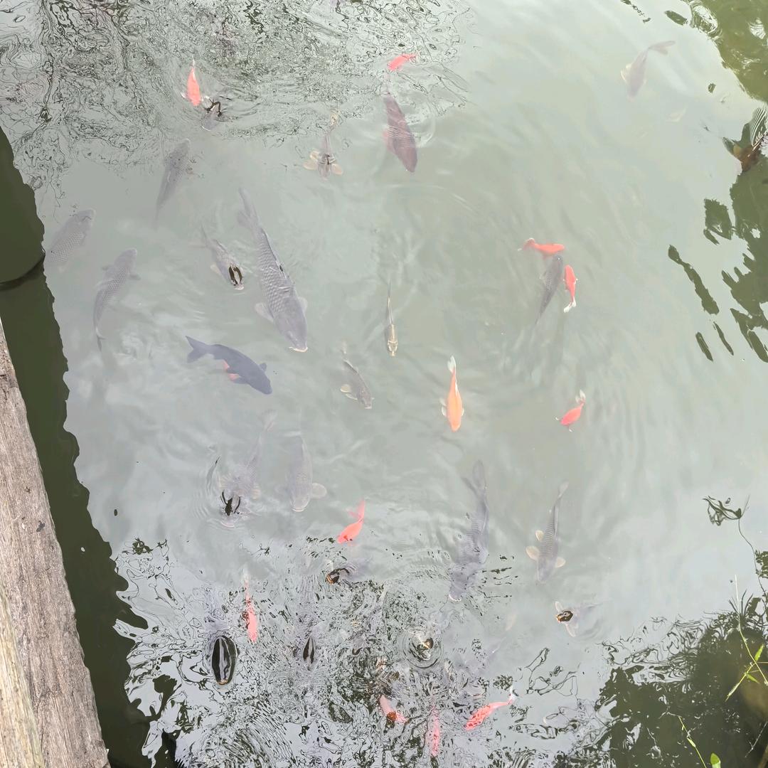 车身凹陷维修分享