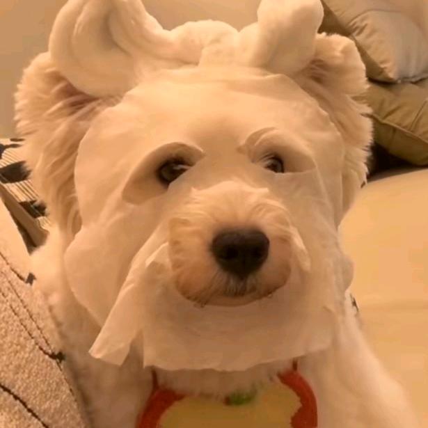 。。。.